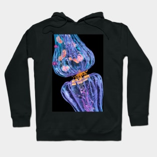 Nerve synapse, artwork (C036/9728) Hoodie